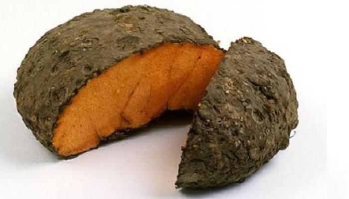 मूळव्याध , भंगदर 